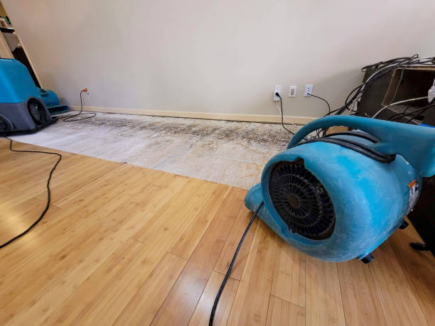 Professional Basement Flood Cleanup technician working in Randolph, UT